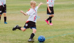 Michi Franke Kolumne